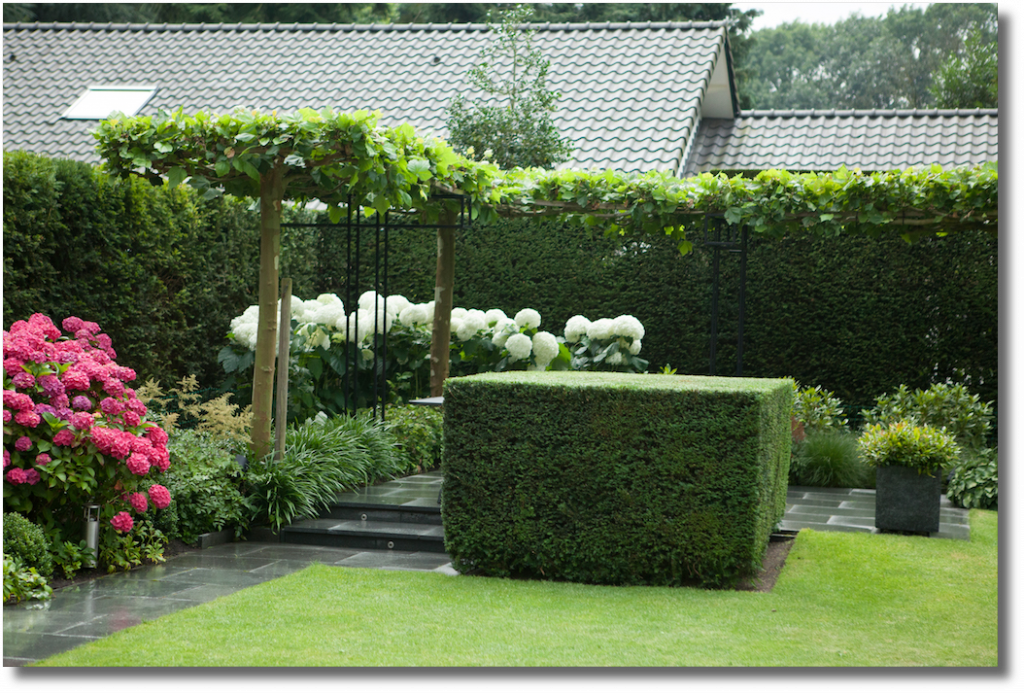 tuin-2016-5